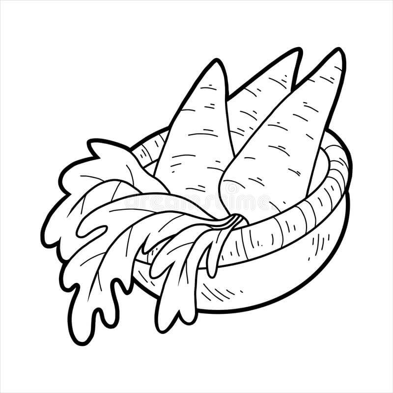Las Zanahorias Están en la Canasta