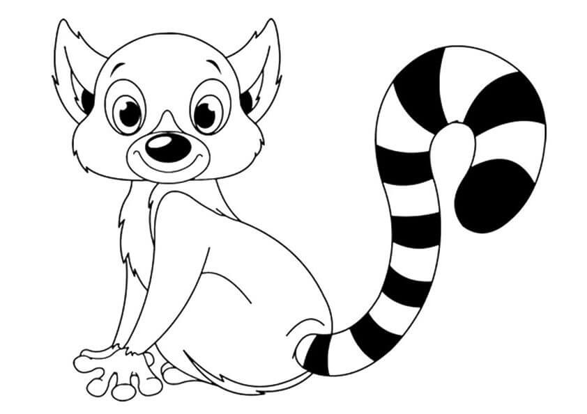 Lemur Sentado