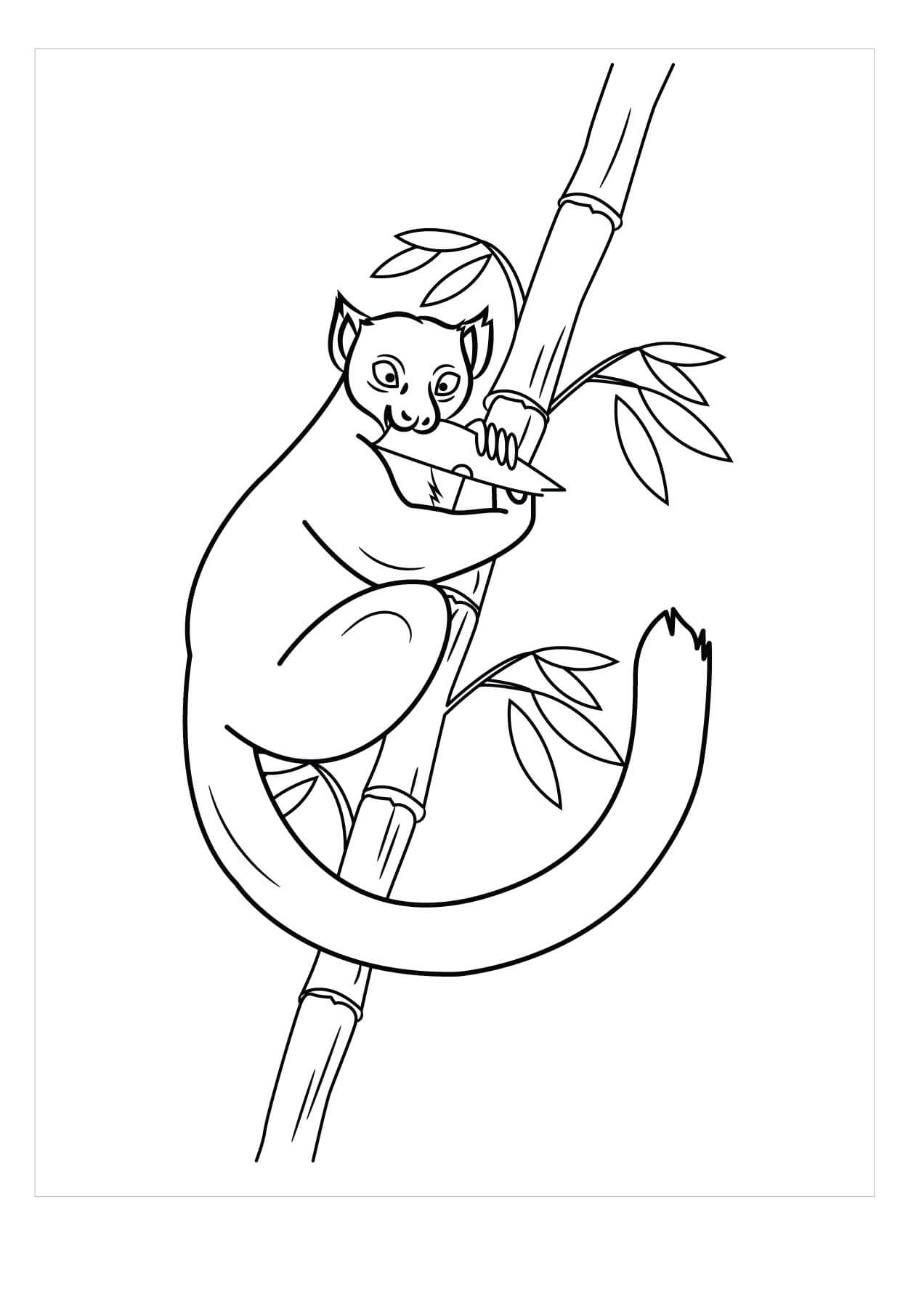 Lemur Trepador de Bambú