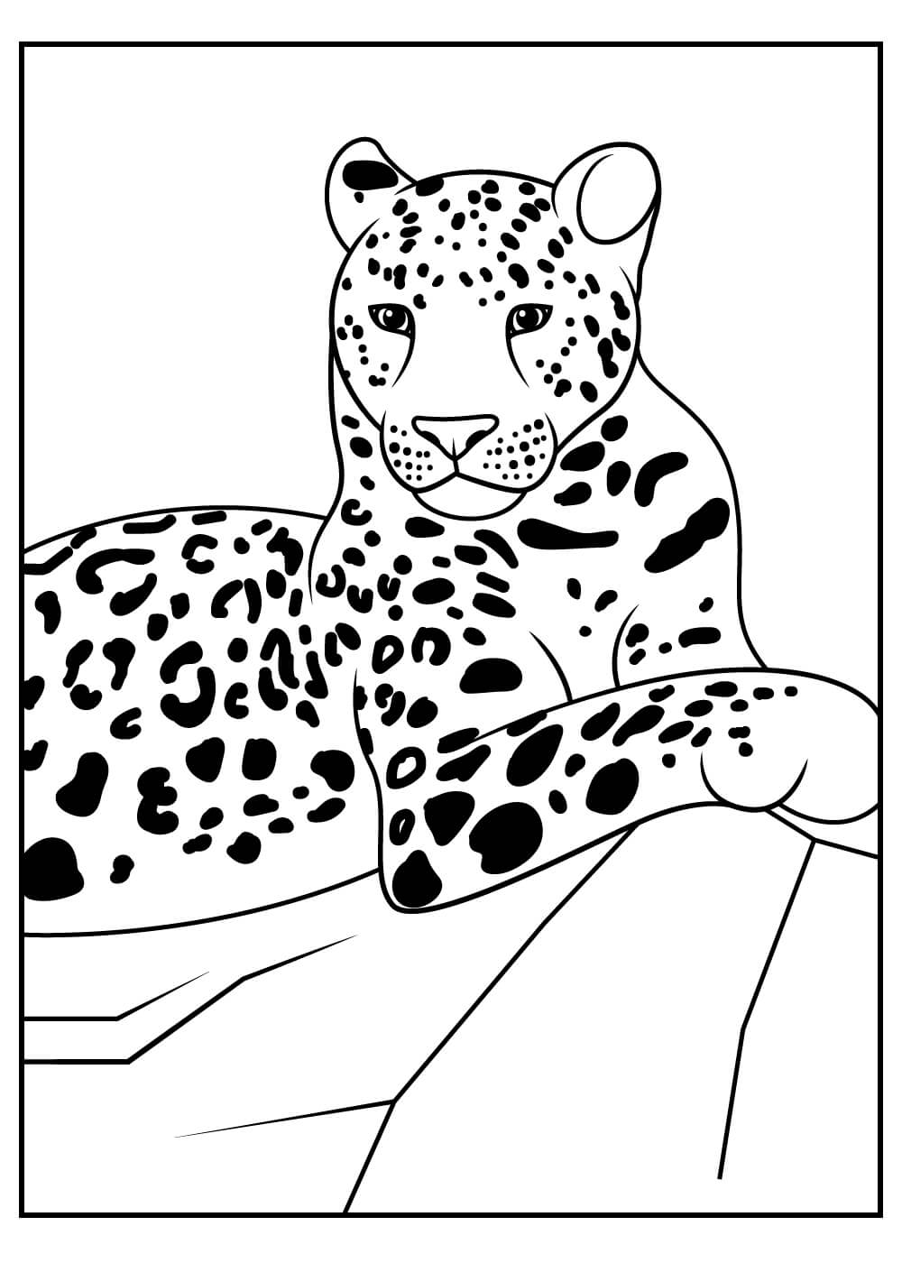 Leopardo Acostado