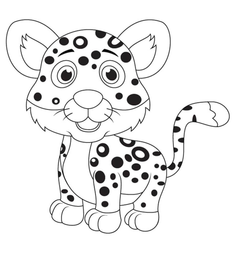 Leopardo Bebé