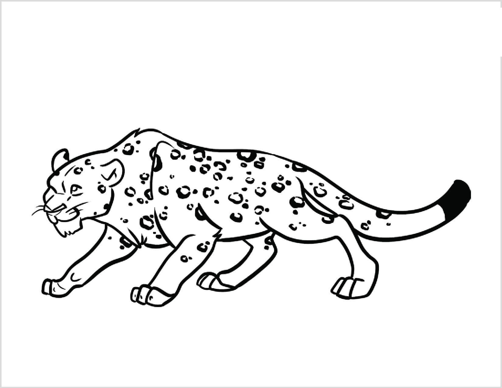 Leopardo Impresionante
