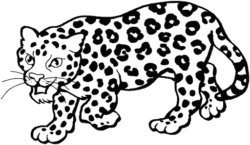 Leopardo Simple