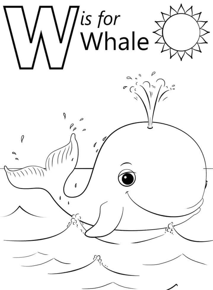 Letra De Ballena W