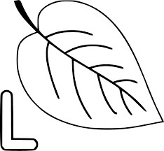 Letra L y una Hoja Grande