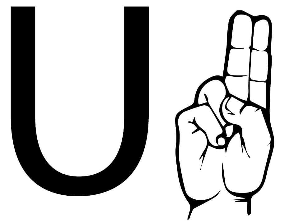 Letra U Y Mano