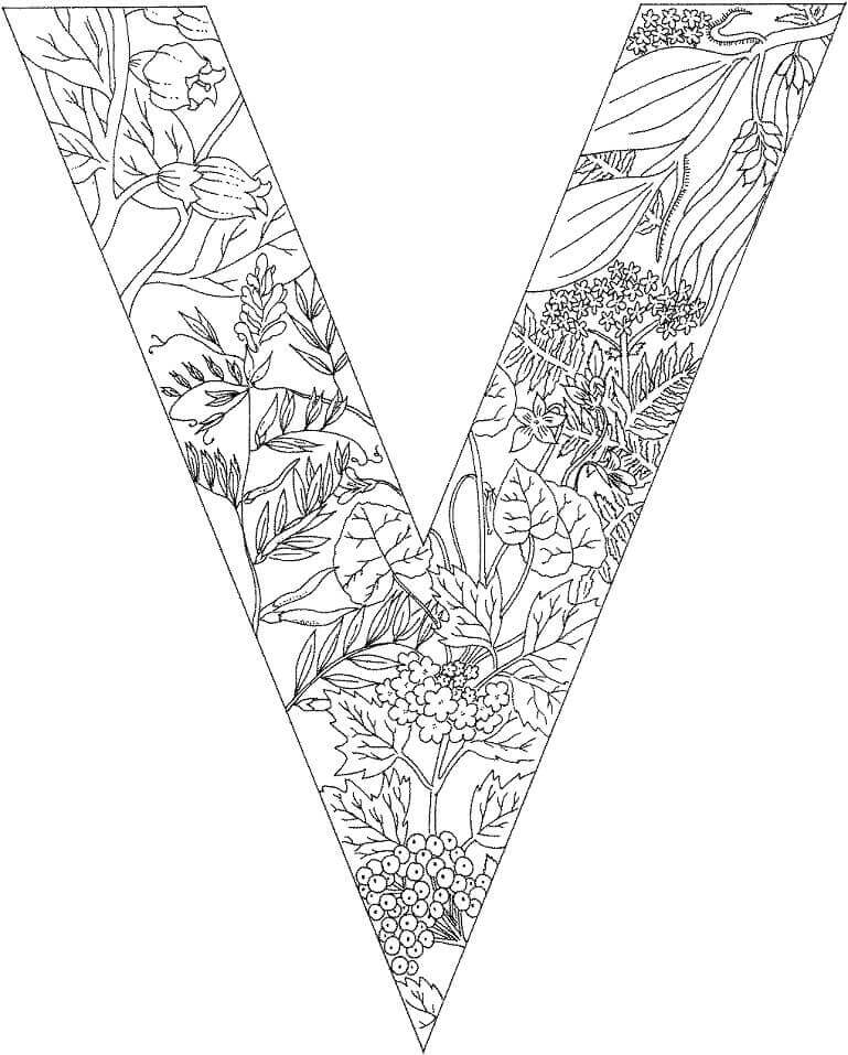 Letra V Árbol Y Hoja