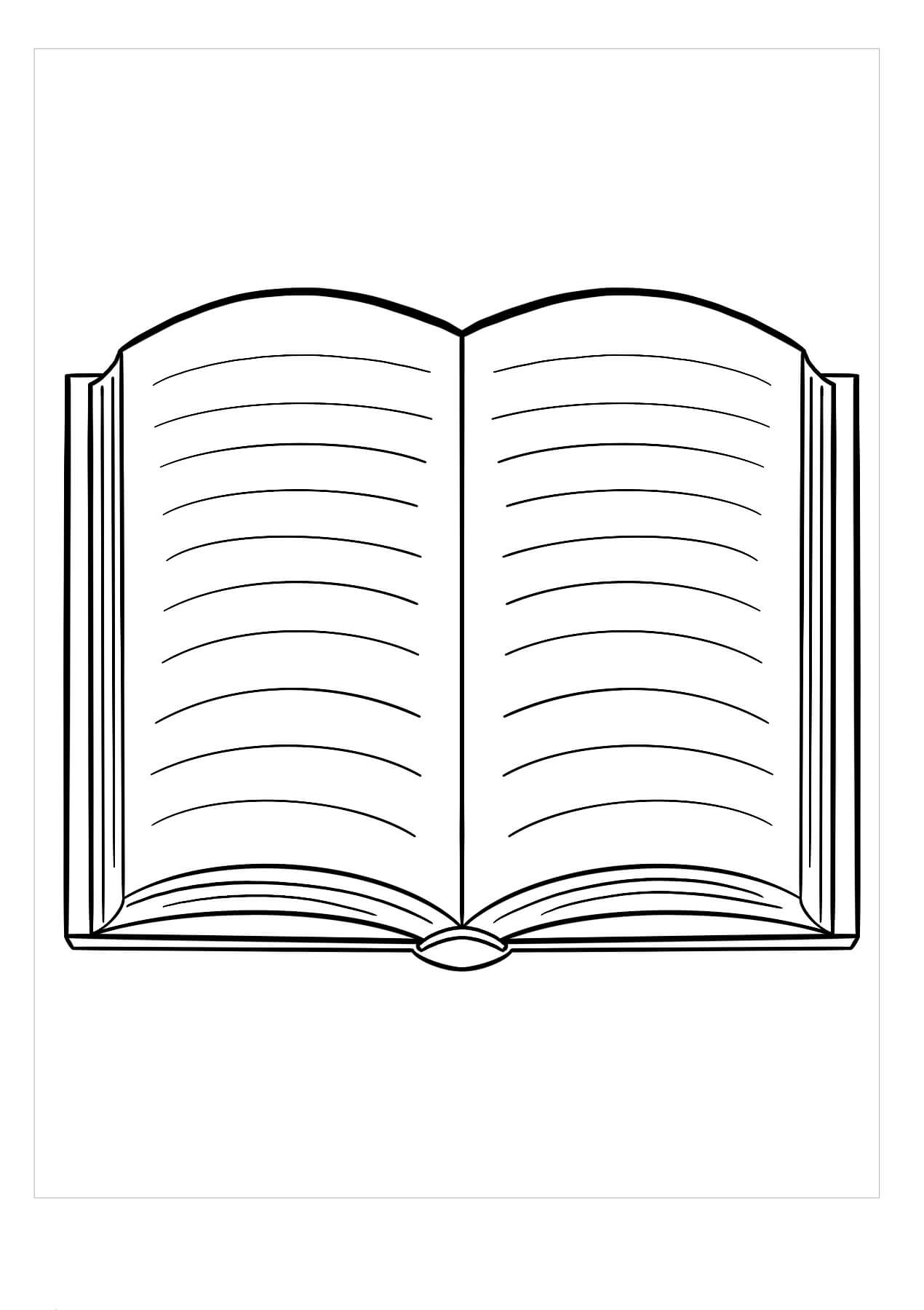 Libro Abierto Básico