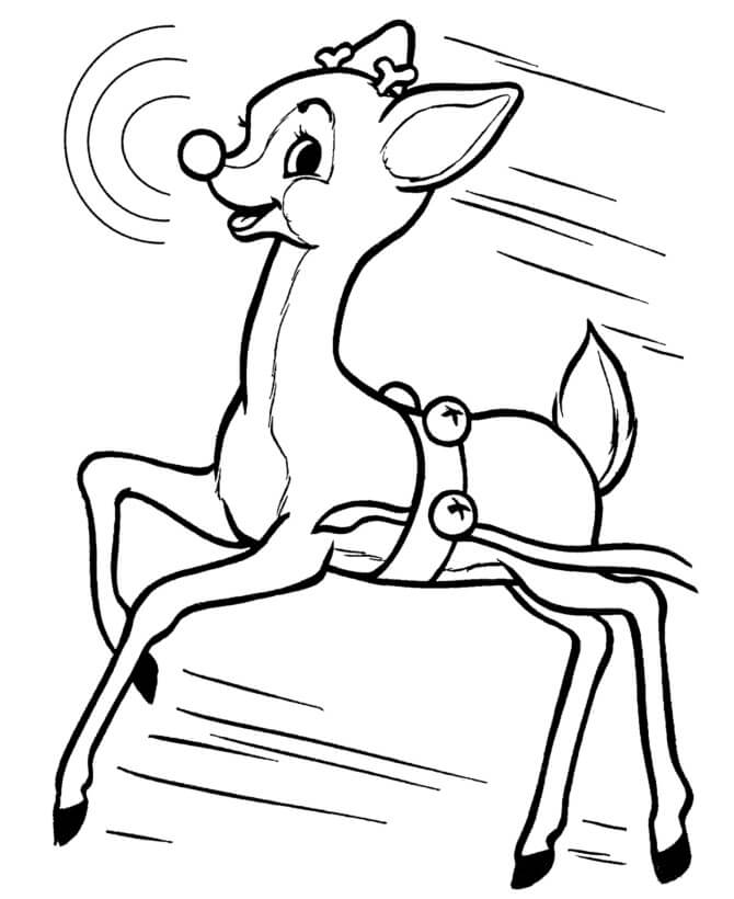 Libro De Rudolph