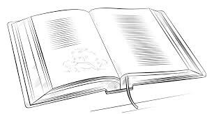 Libro Perfecto