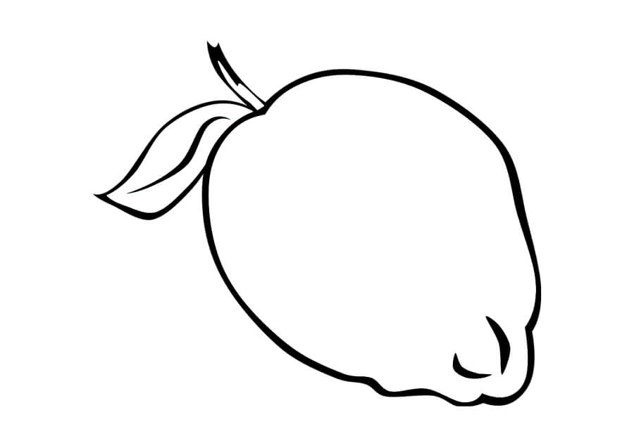 Limón Fácil