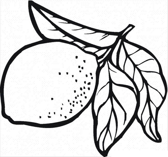 Limón con Hoja