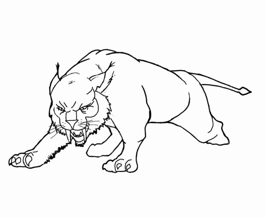 Lince Enojado