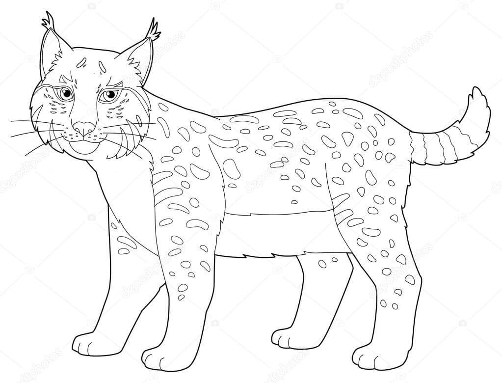 Lince de Dibujos Animados
