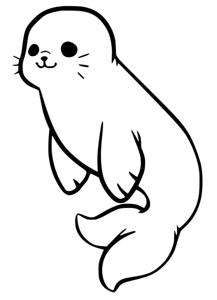 Linda Cría de Foca