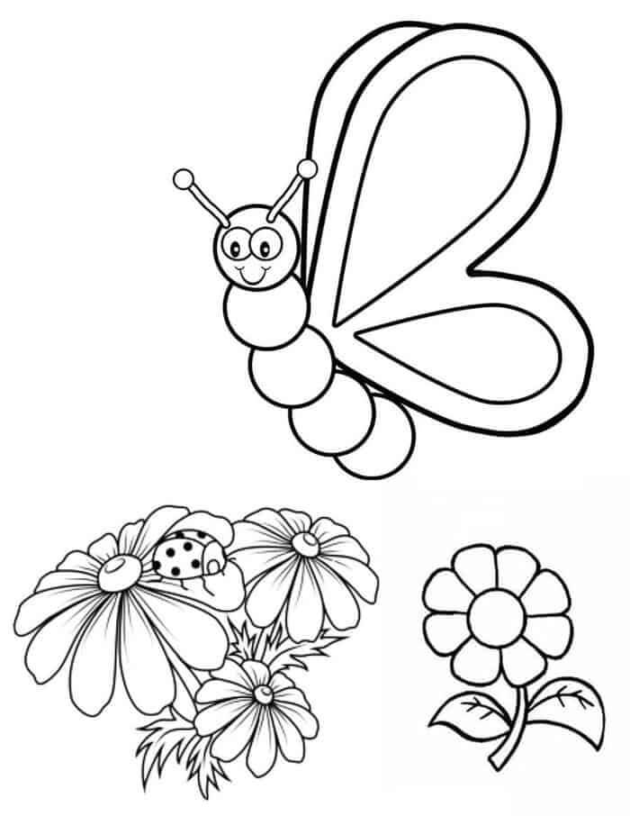 Linda Mariposa y Flor