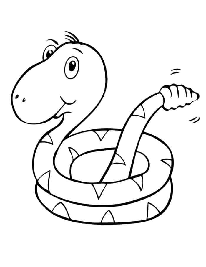 Linda Serpiente de Cascabel