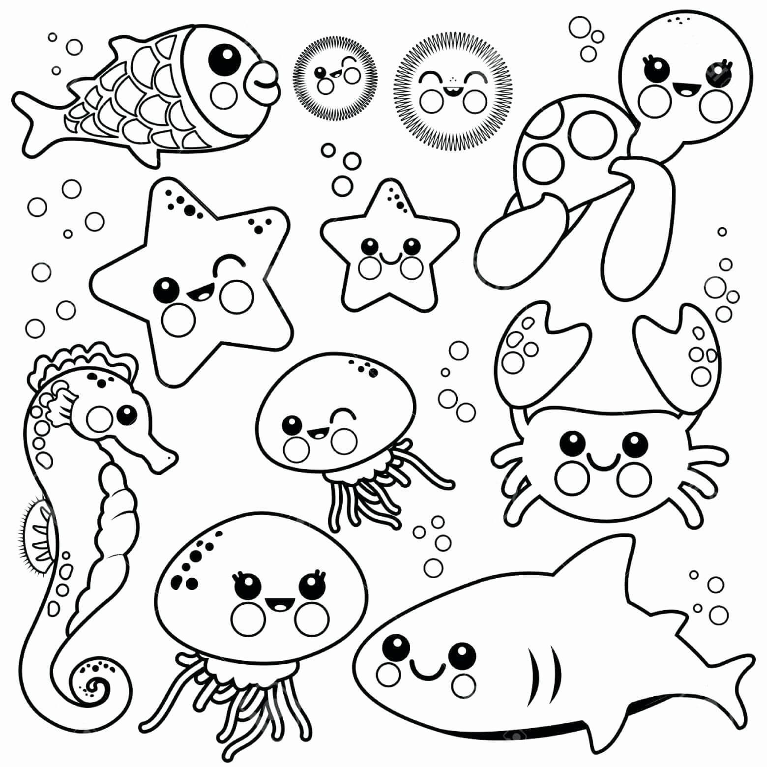 Lindo Animal Marino
