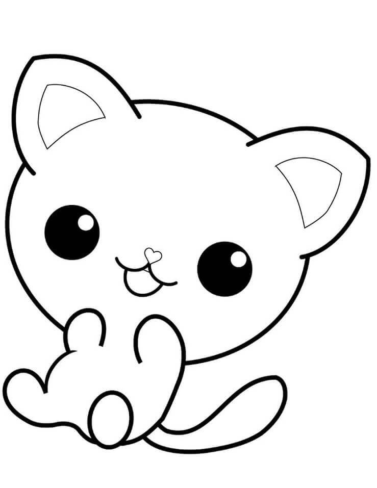 Lindo Gatito