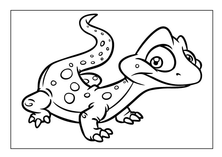 Lindo Lagarto