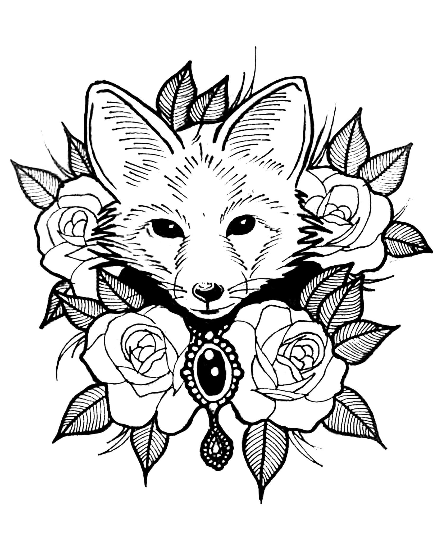 Lindo Zorro con Rosas