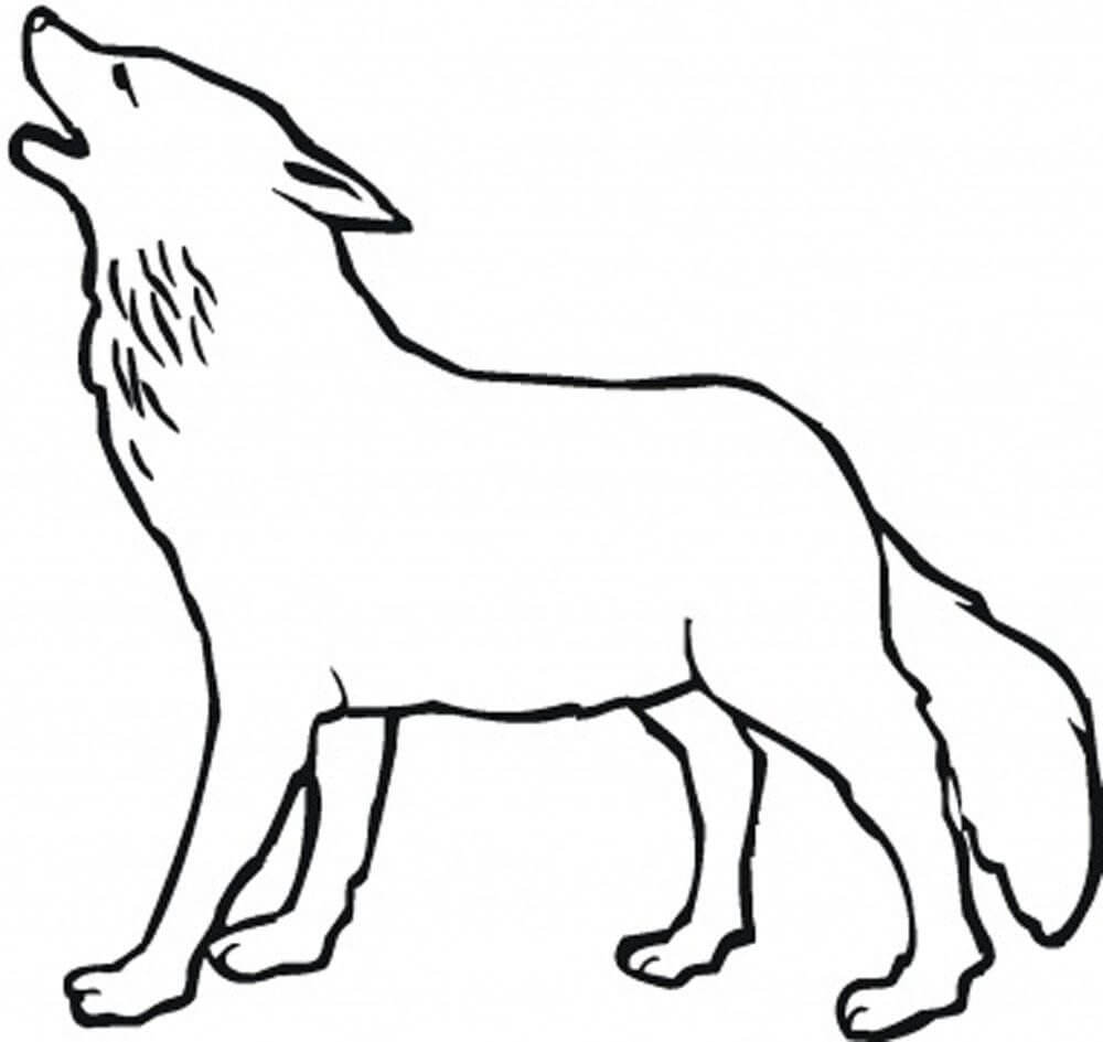 Lobo Fácil