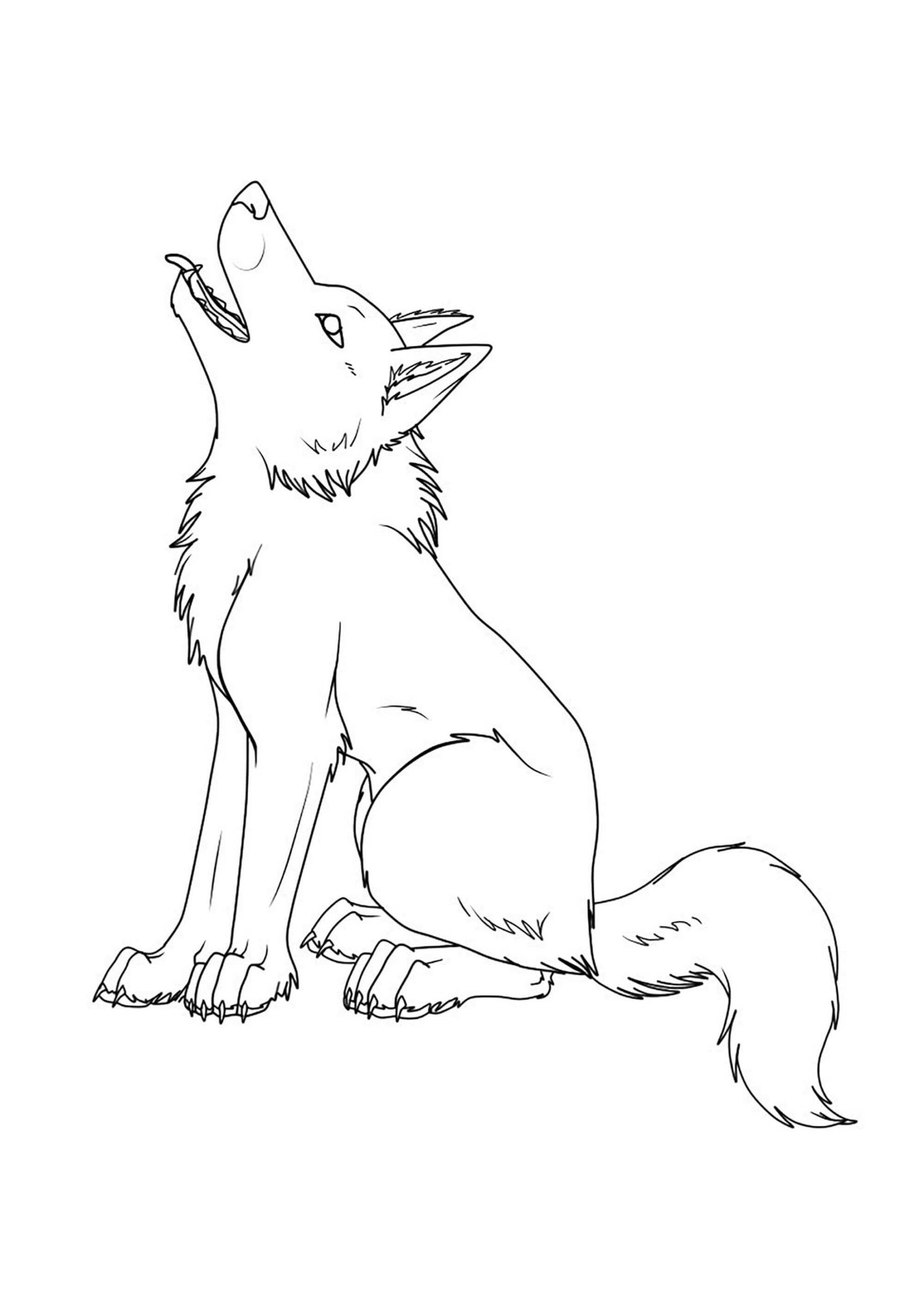 Lobo Sentado