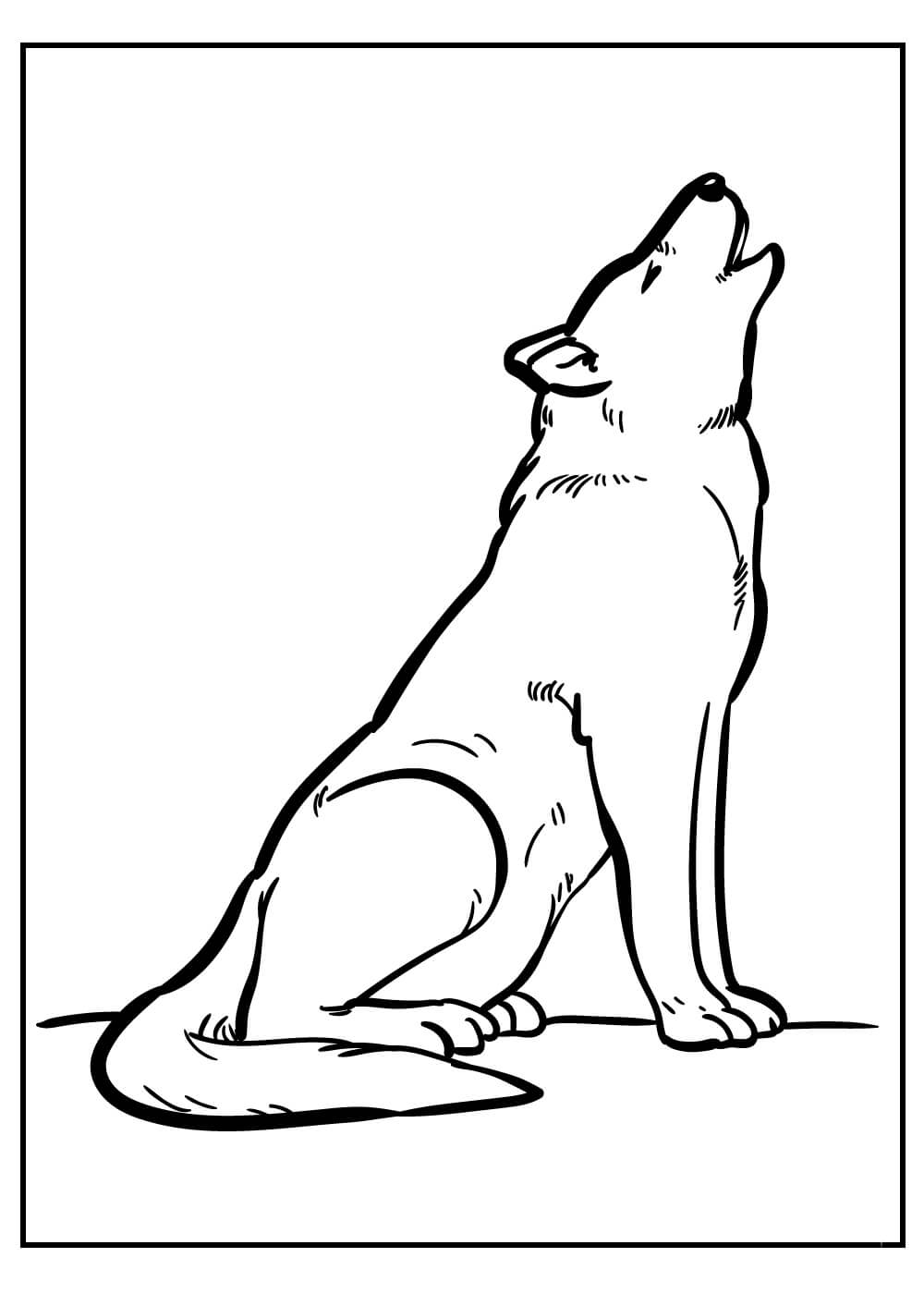 Lobo básico Aullando