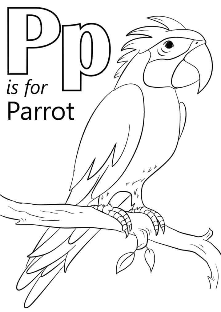 Loro Letra P