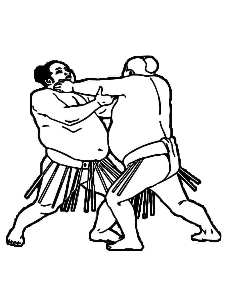 Lucha de Sumo