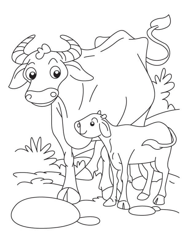 Madre Búfalo y Bebé Búfalo