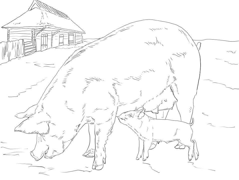 Madre y Bebé Cerdo