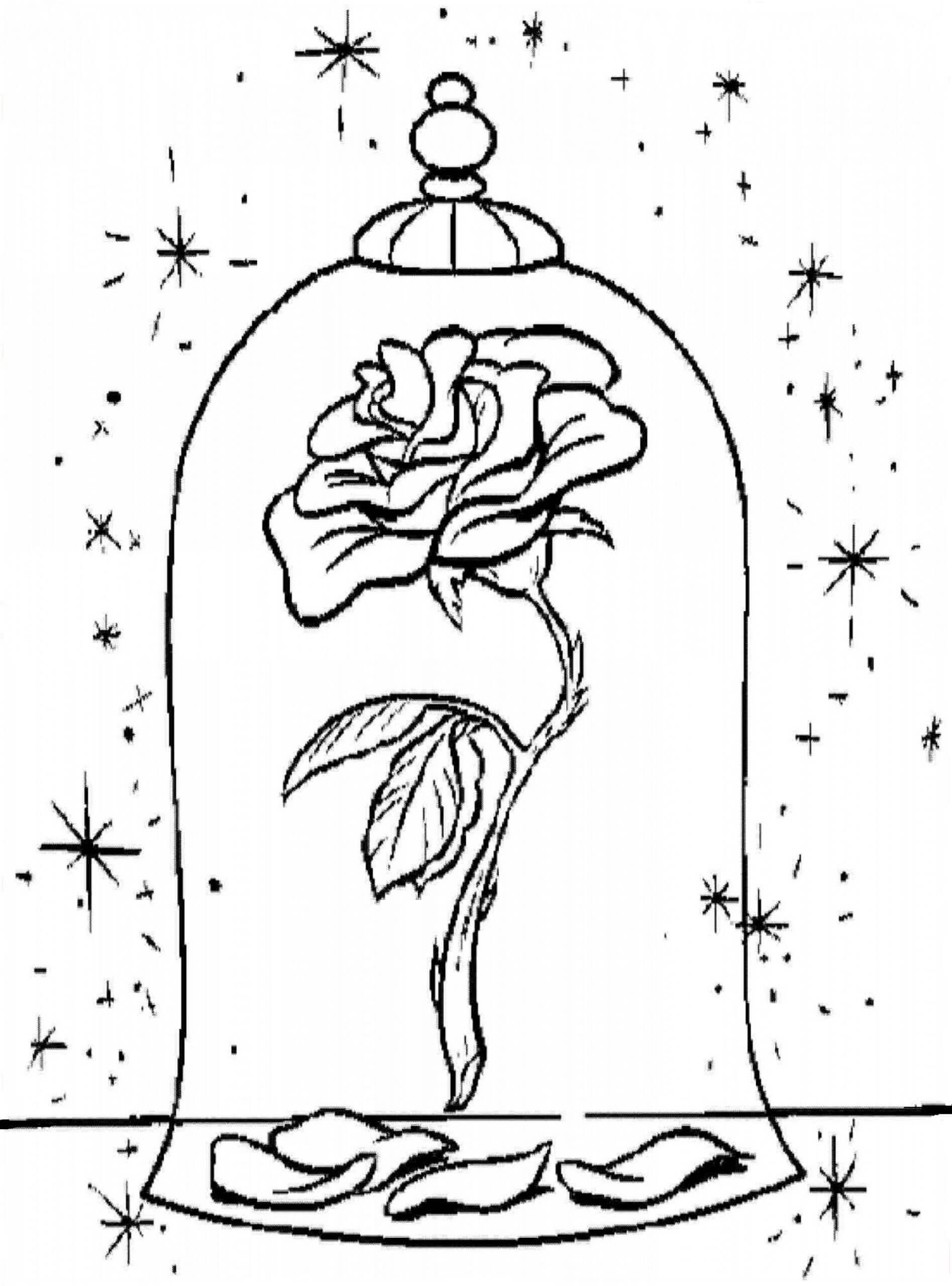 Magia Rosa en la Bella y la Bestia