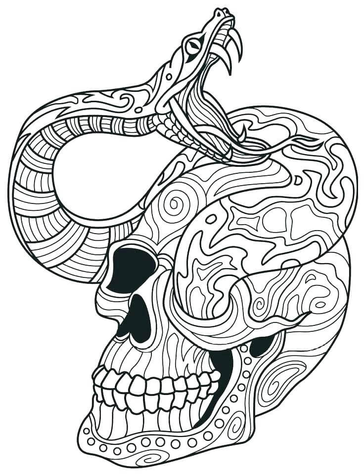 Mandala De Calavera Y Serpiente