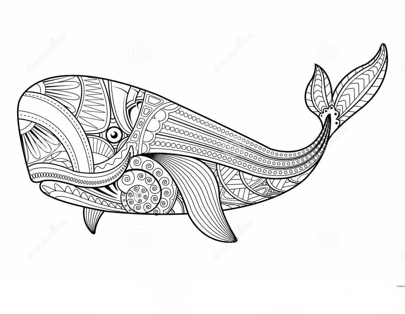 Mandala Hermosa Ballena