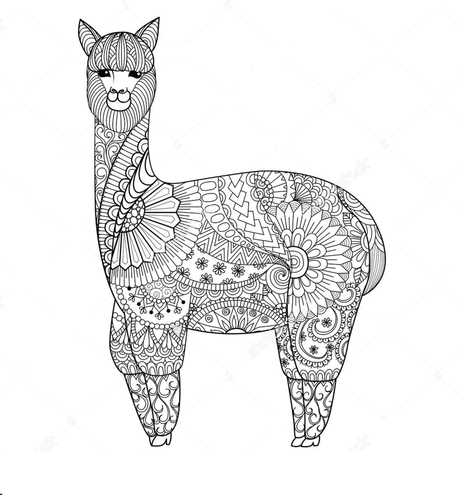 Mandala Linda Llama