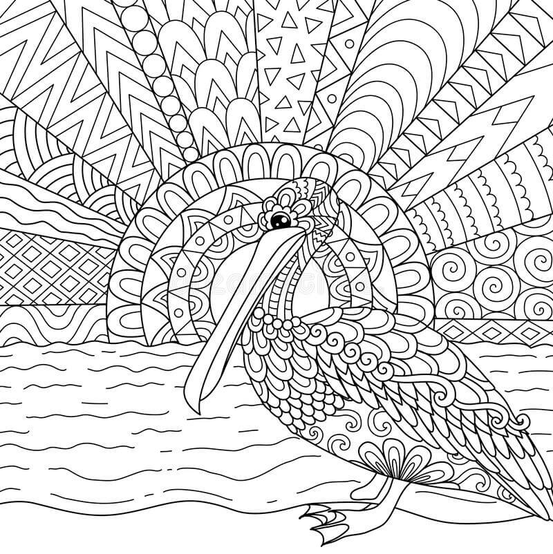 Mandala Pelícano Hermoso