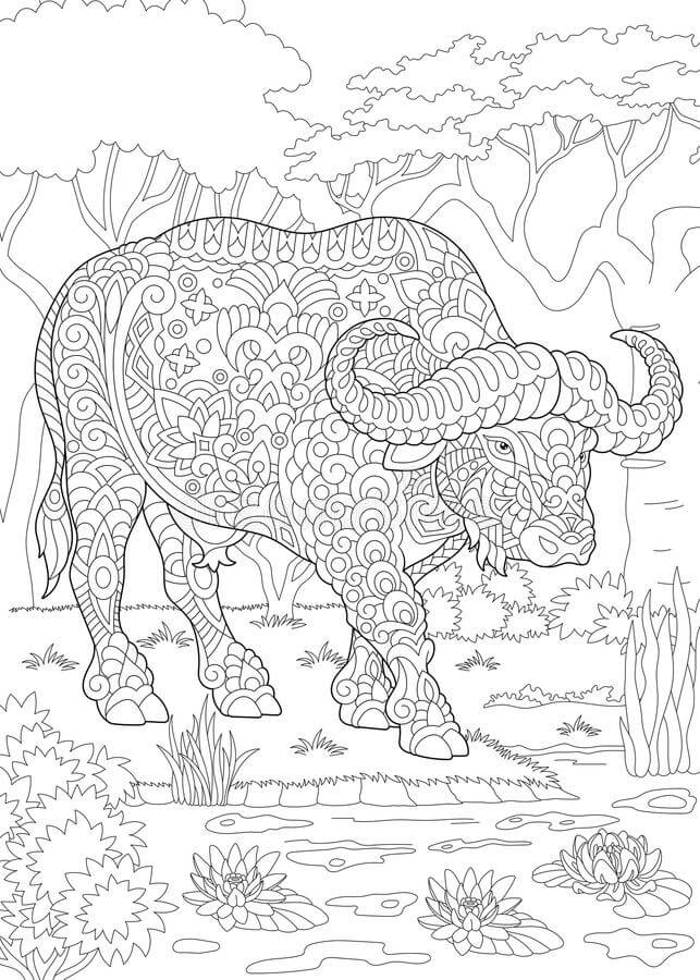 Mandala de Búfalo