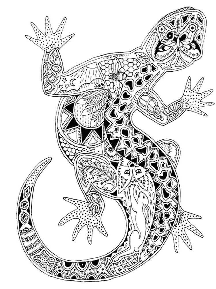 Mandala de Lagarto