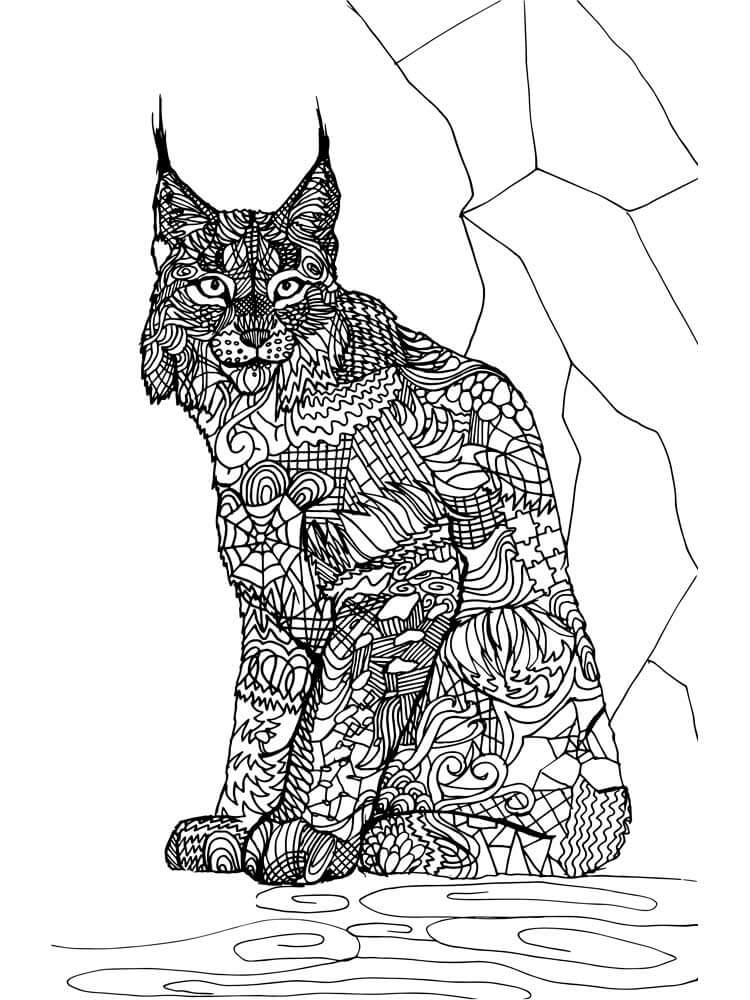 Mandala de Lince
