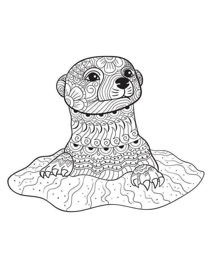 Mandala de Nutria de Cara