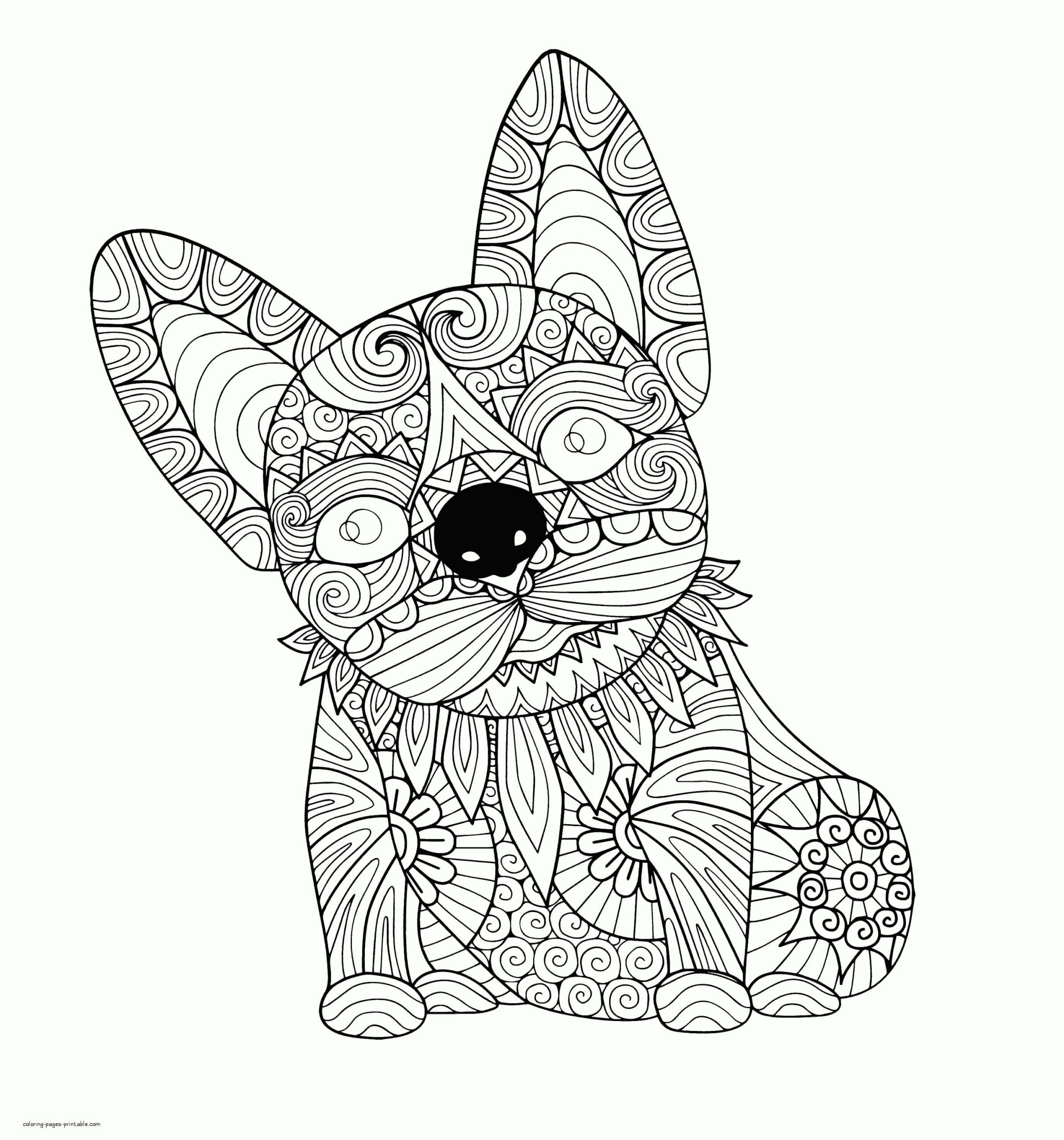 Mandala de Perro