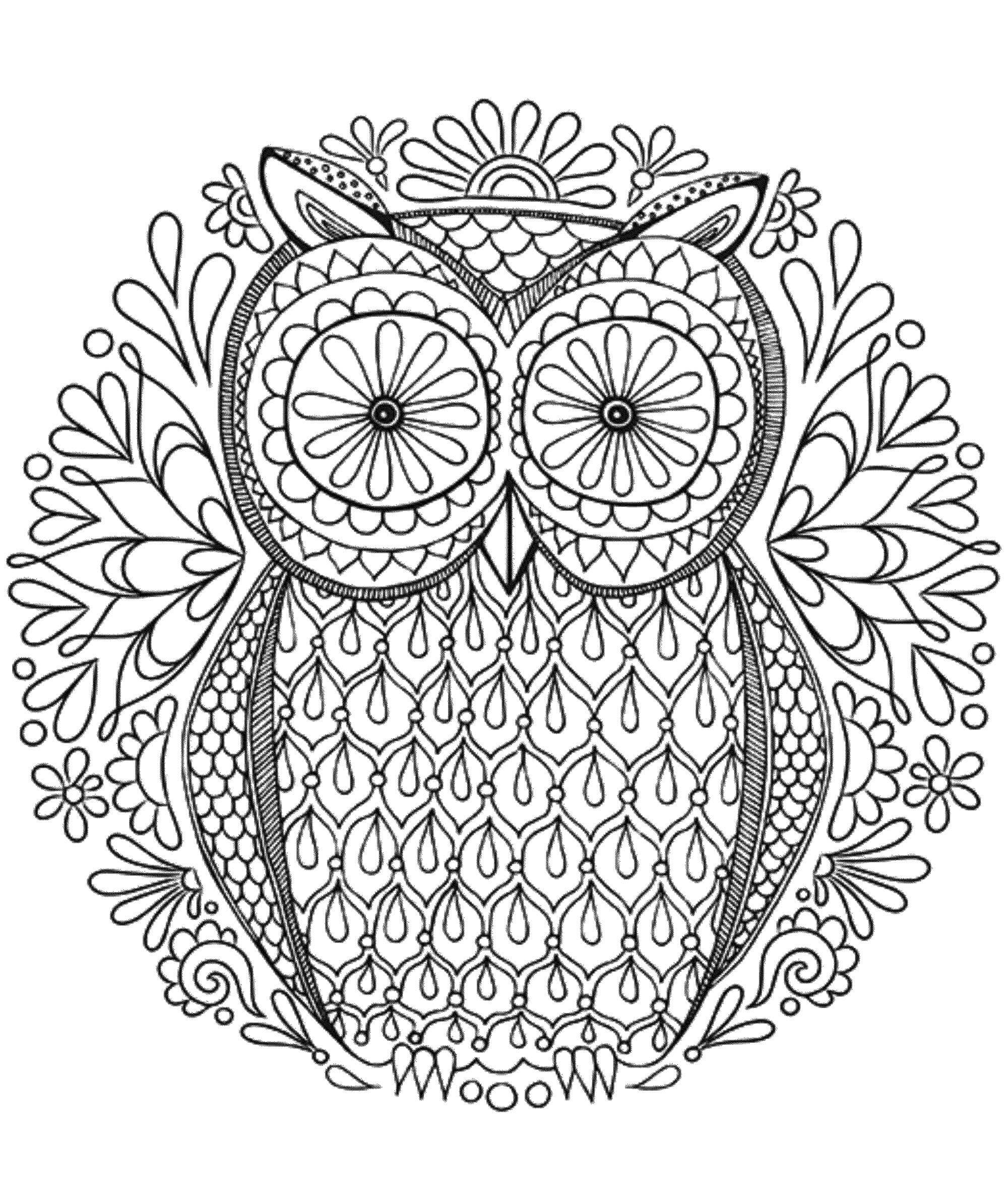 Mandalas Búho