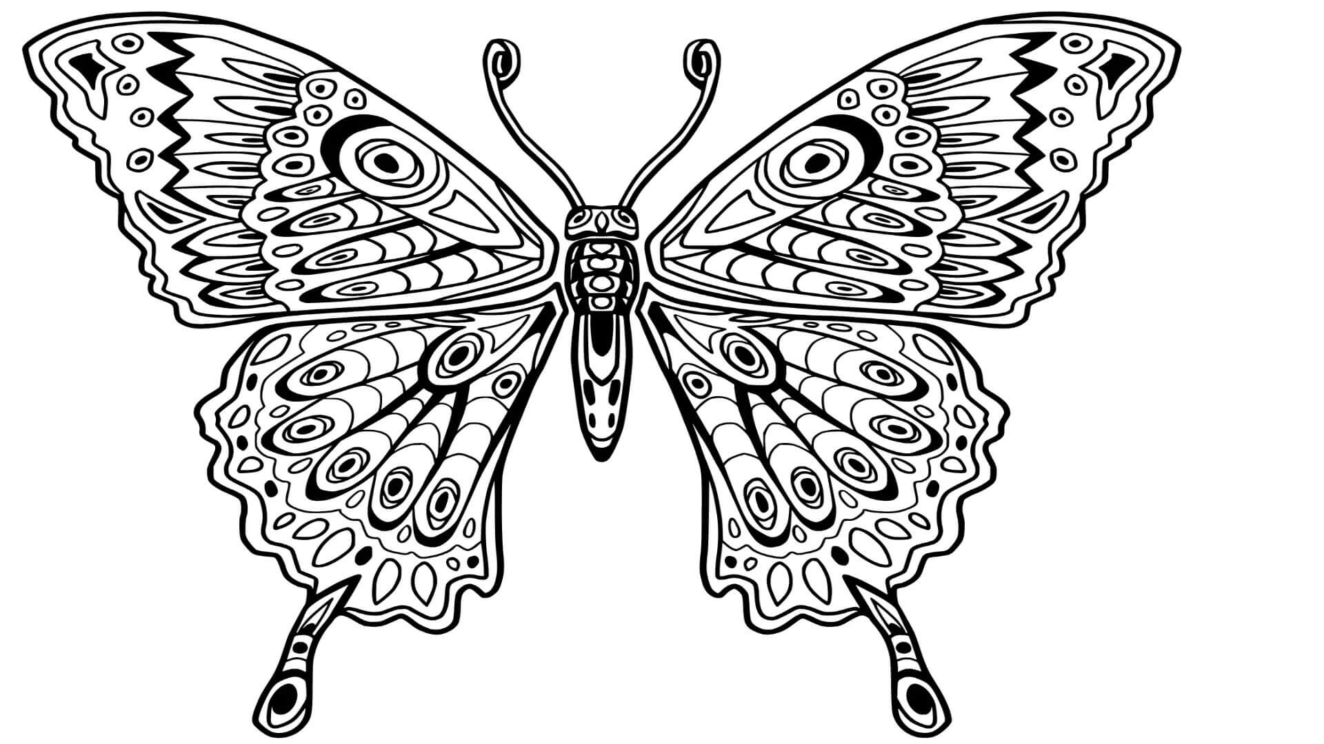 Mariposa Asombrosa