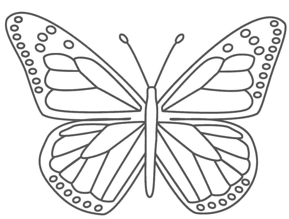 Mariposa Monarca