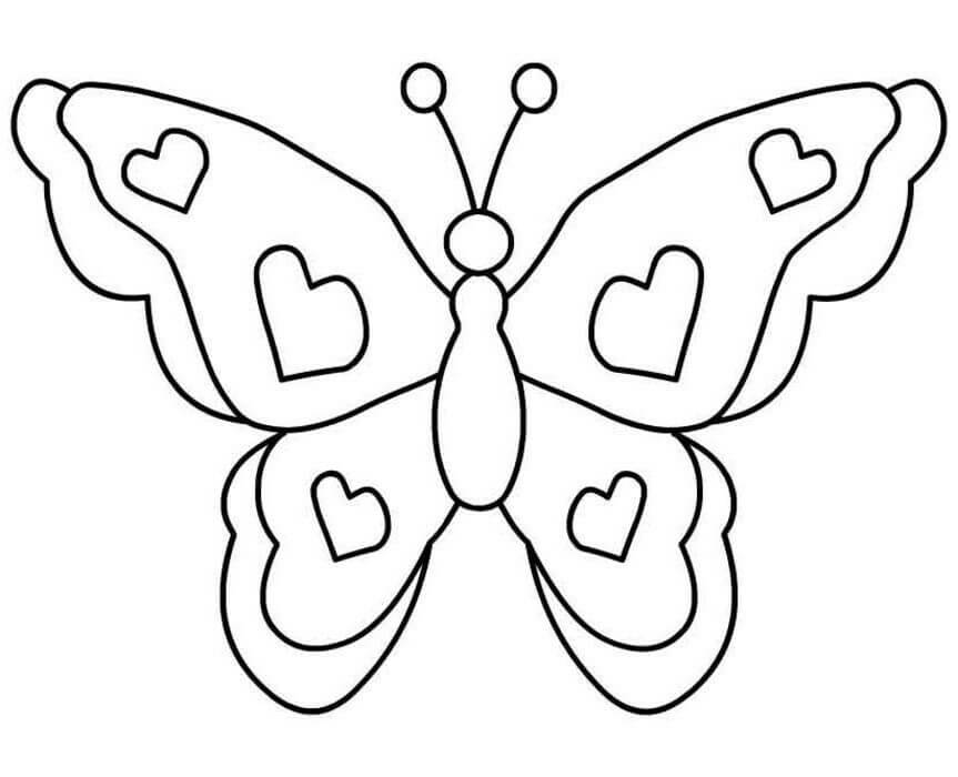 Mariposa Normal