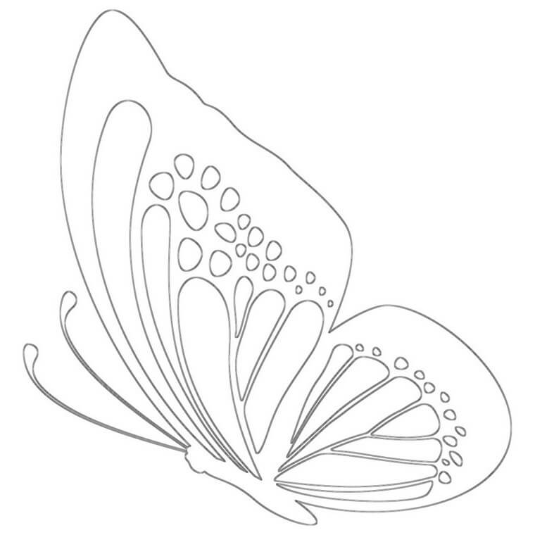 Mariposa Peculiar
