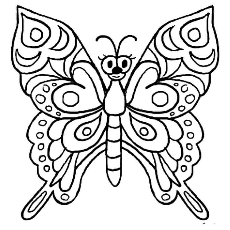 Mariposa Perfecta