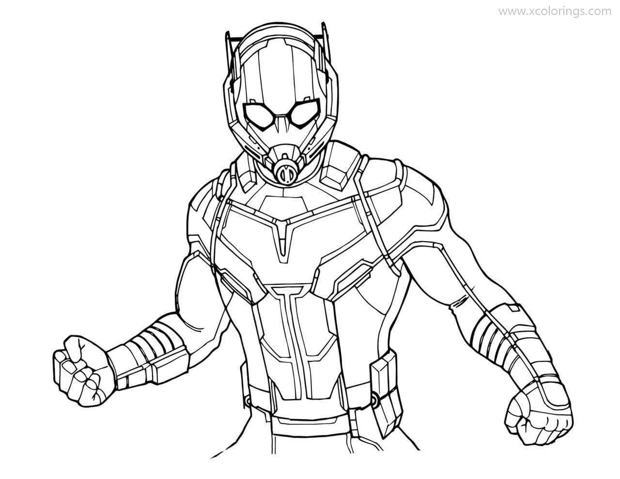 Marvel Hombre Hormiga