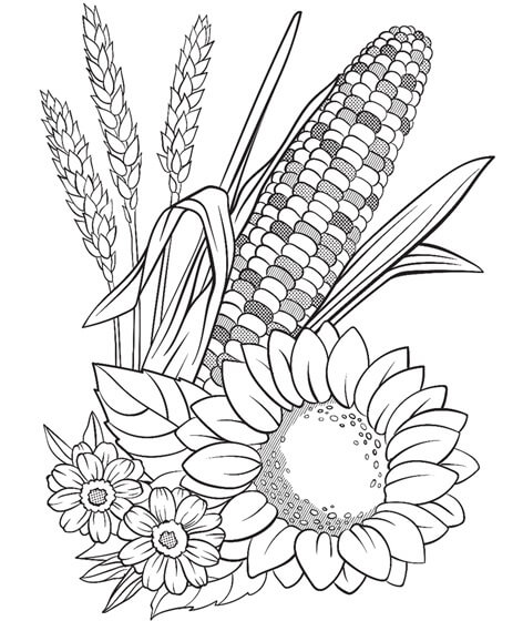 Maíz y Flor